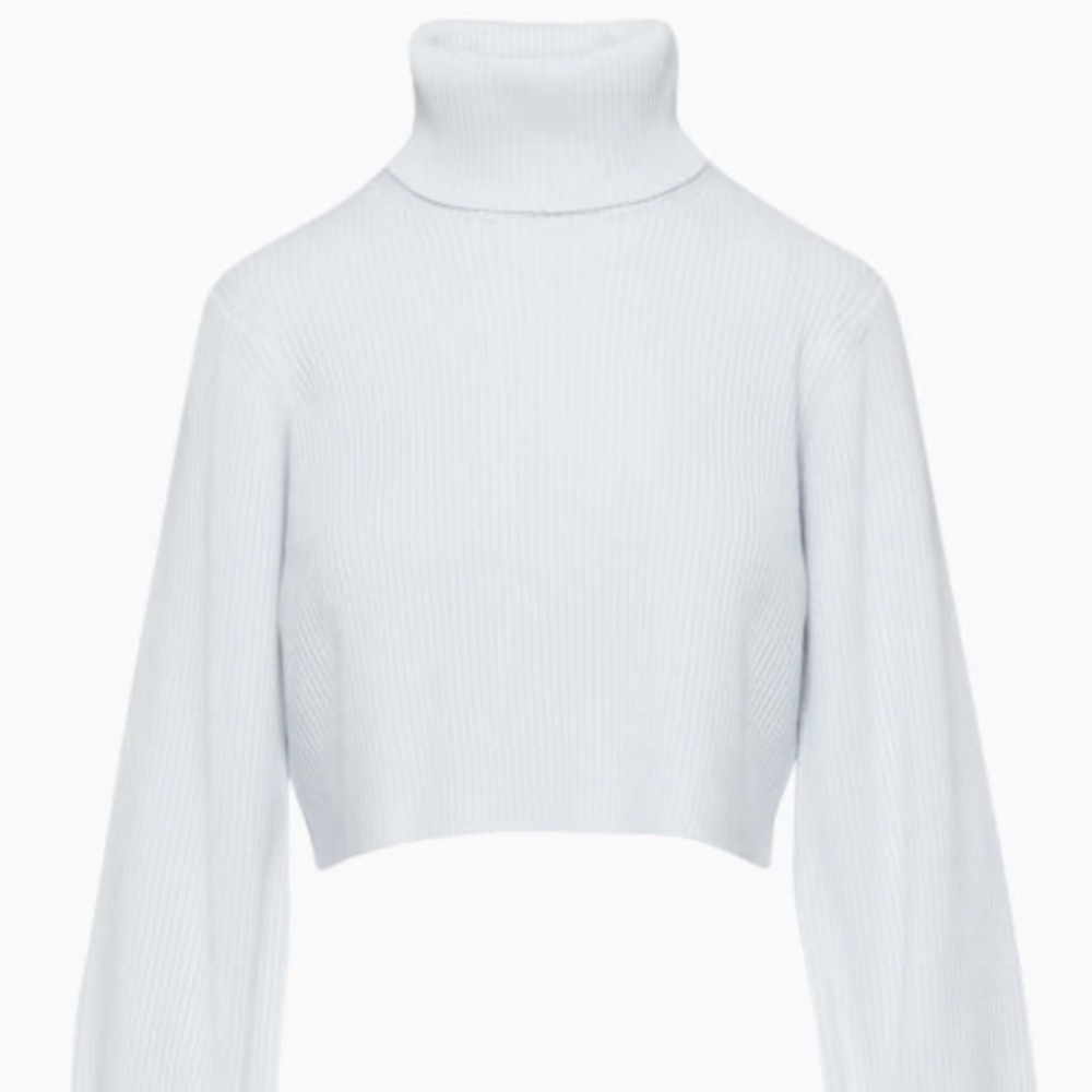 Like New Aritzia Wilfred Rebecca wool turtleneck sweater size small